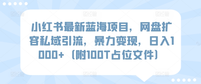 小红书最新蓝海项目，网盘扩容私域引流，暴力变现，日入1000+（附100T占位文件）【揭秘】插图