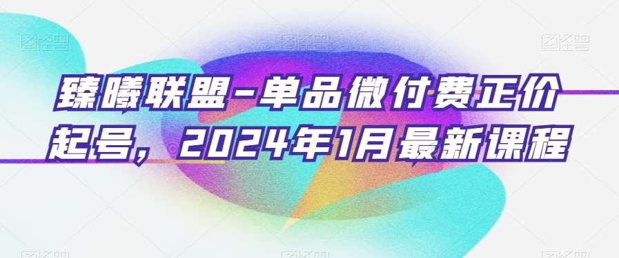 臻曦联盟-单品微付费正价起号，2024年1月最新课程插图