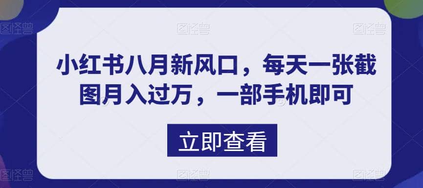 八月新风口，小红书虚拟项目一天收入1000+，实战揭秘插图