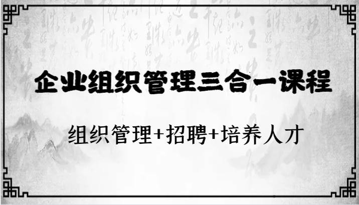 企业组织管理三合一课程：组织管理+招聘+培养人才插图