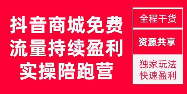 抖音商城搜索持续盈利陪跑成长营，抖音商城搜索从0-1、从1到10的全面解决方案插图