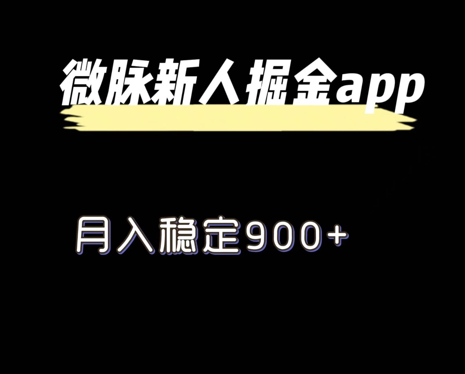 最新微脉长久项目，拉新掘金，月入稳定900+插图