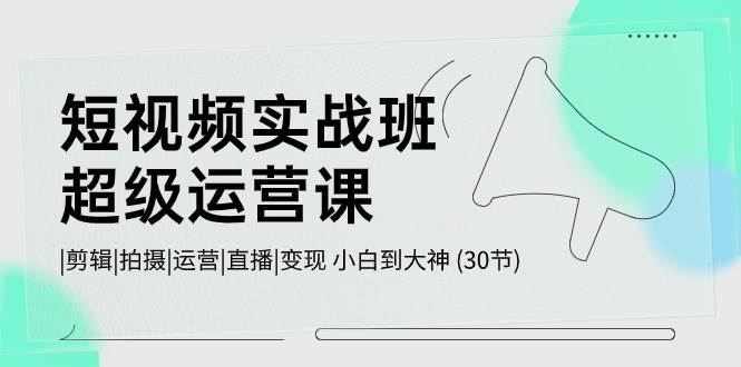 短视频实战班超级运营课 |剪辑|拍摄|运营|直播|变现 小白到大神 (30节)插图