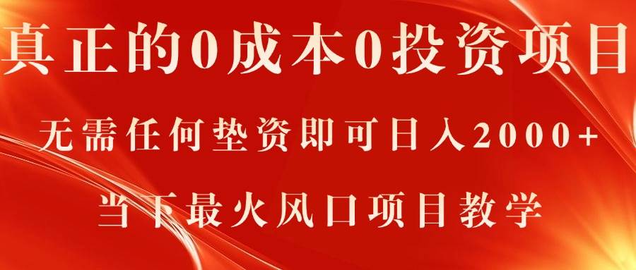 （11387期）真正的0成本0投资项目，无需任何垫资即可日入2000+，当下最火风口项目教学插图