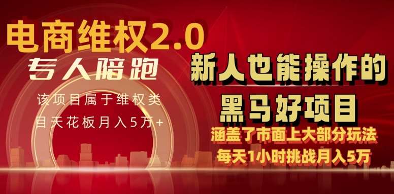 电商维权 4.0 如何做到月入 5 万+每天 1 小时新人也能快速上手【仅揭秘】插图