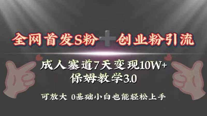 （8337期）全网首发s粉加创业粉引流变现，成人用品赛道7天变现10w+保姆教学3.0插图