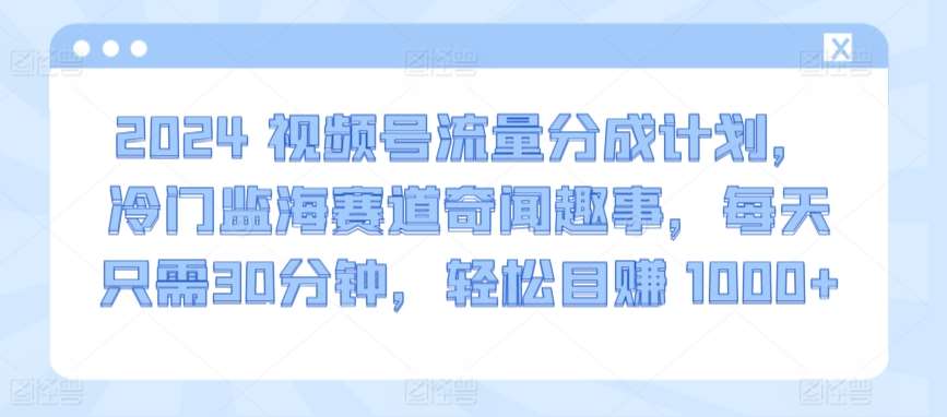 2024视频号流量分成计划，冷门监海赛道奇闻趣事，每天只需30分钟，轻松目赚 1000+【揭秘】插图