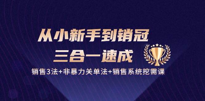 从小新手到销冠三合一速成：销售3法+非暴力关单法+销售系统挖需课 (27节)插图