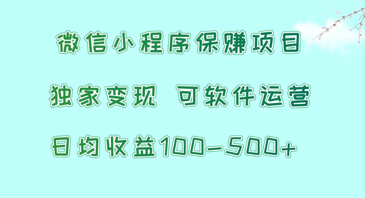 微信小程序保赚项目，日均收益100~500+，独家变现，可软件运营插图