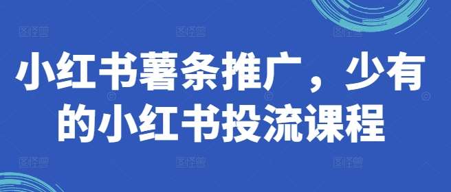 小红书薯条推广，少有的小红书投流课程插图