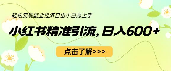 小红书精准引流，小白日入600+，轻松实现副业经济自由（教程+1153G资源）插图