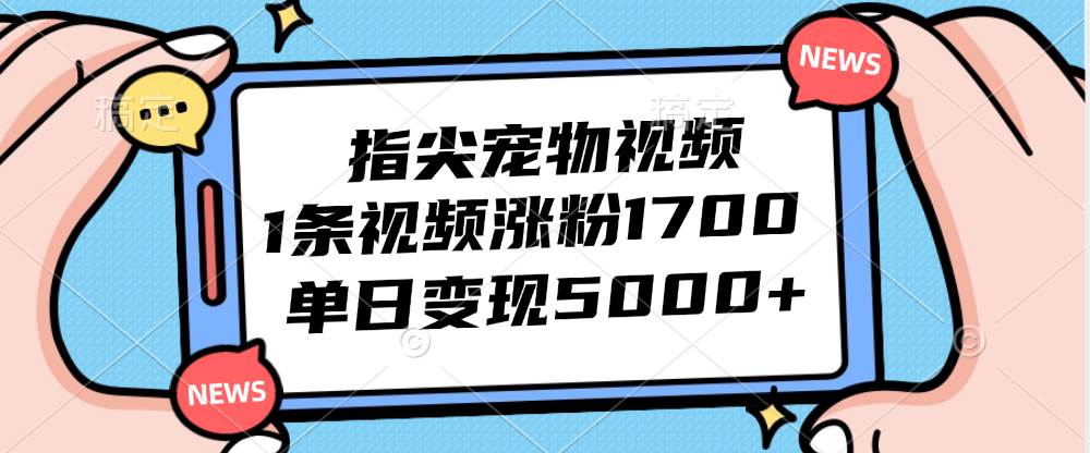 （12549期）指尖宠物视频，1条视频涨粉1700，单日变现5000+插图