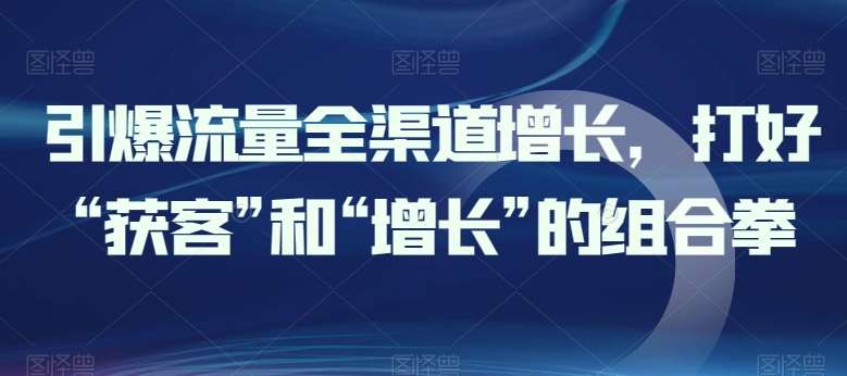 引爆流量全渠道增长，打好“获客”和“增长”的组合拳插图