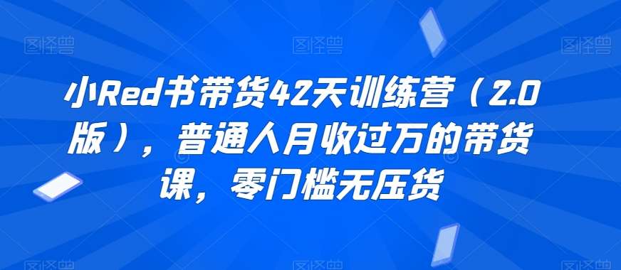 小Red书带货42天训练营（2.0版），普通人月收过万的带货课，零门槛无压货插图