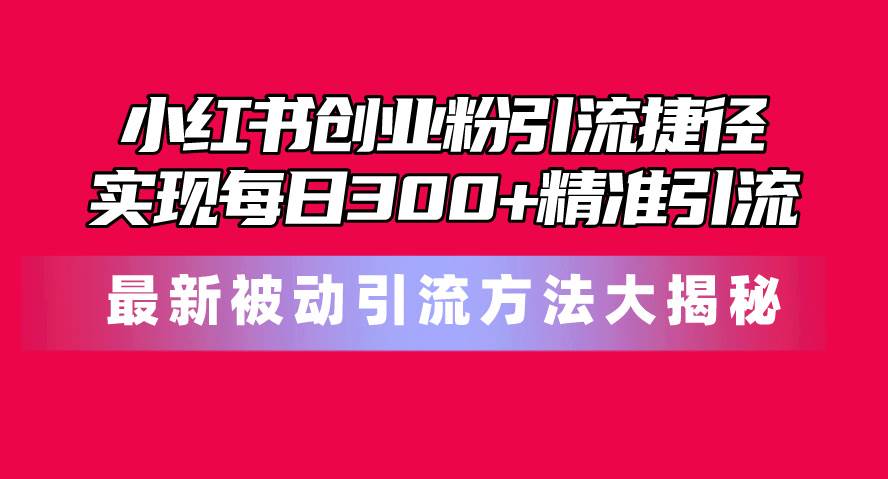 （10692期）小红书创业粉引流捷径！最新被动引流方法大揭秘，实现每日300+精准引流插图