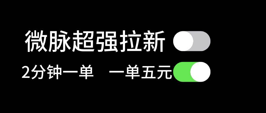 （11580期）微脉超强拉新， 两分钟1单， 一单利润5块，适合小白插图