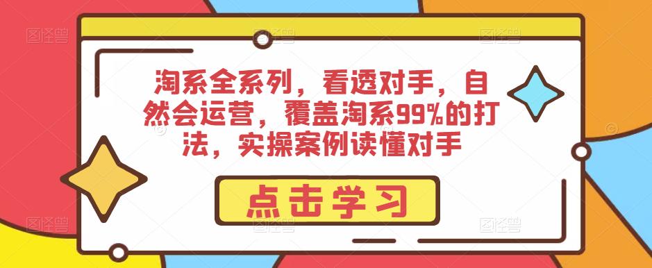 淘系全系列，看透对手，自然会运营，覆盖淘系99%的打法，实操案例读懂对手插图