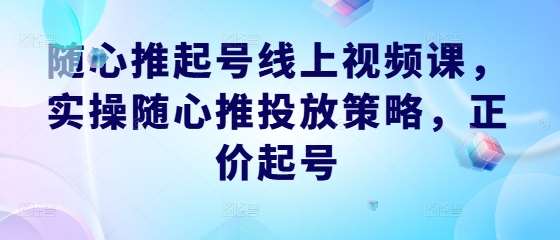 随心推起号线上视频课，实操随心推投放策略，正价起号插图