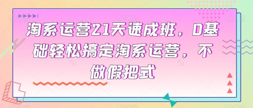 淘系运营21天速成班，0基础轻松搞定淘系运营，不做假把式插图