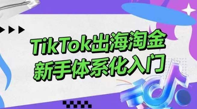 TikTok出海淘金，新手体系化入门，零基础快速入门，掌握短视频、直播带货等引流到变现的知识插图