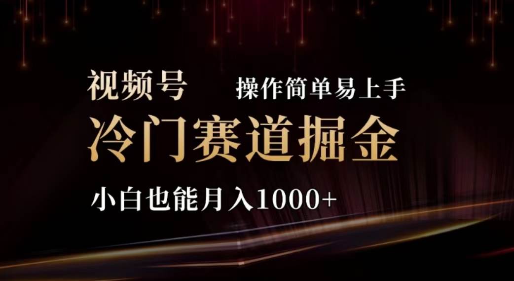 （11378期）2024视频号冷门赛道掘金，操作简单轻松上手，小白也能月入1000+插图