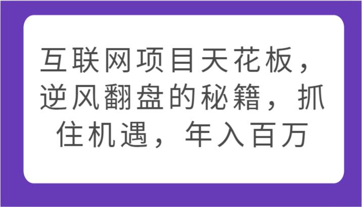 互联网项目天花板，逆风翻盘的秘籍，抓住机遇，年入百万插图