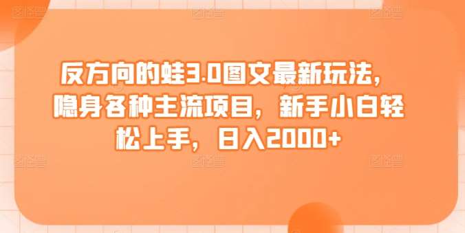 反方向的蛙3.0图文最新玩法，隐身各种主流项目，新手小白轻松上手，日入2000+【揭秘】插图