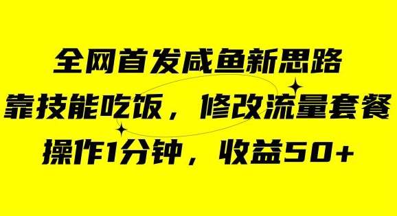 咸鱼冷门新玩法，靠“技能吃饭”，修改流量套餐，操作1分钟，收益50【揭秘】插图