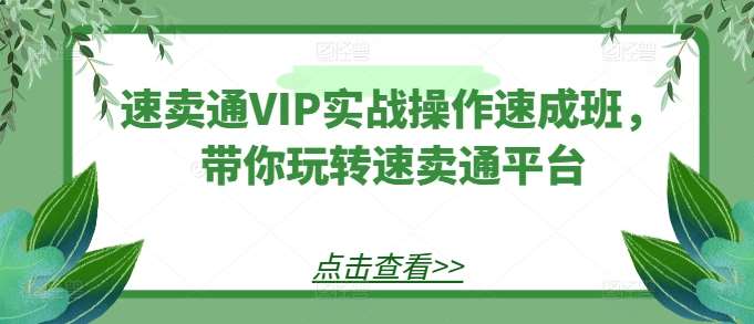 速卖通VIP实战操作速成班，带你玩转速卖通平台插图