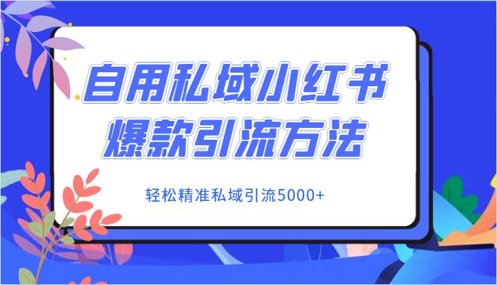 自用私域小红书爆款引流方法，轻松精准私域引流5000+插图