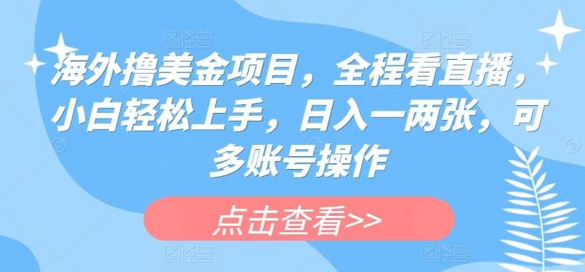 海外撸美金项目，全程看直播，小白轻松上手，日入一两张，可多账号操作【揭秘】插图