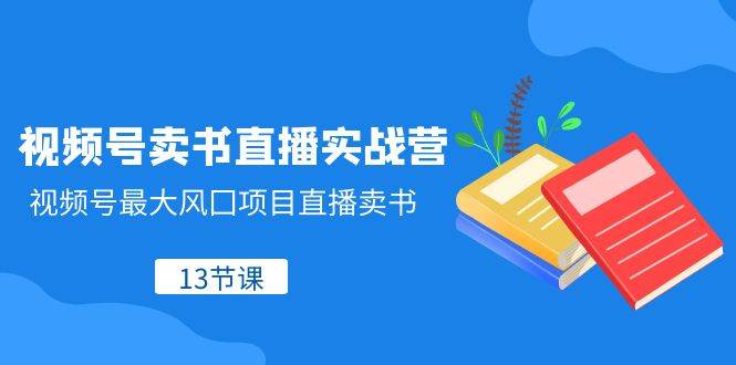 视频号卖书直播实战营，视频号最大风囗项目直播卖书（13节课）插图