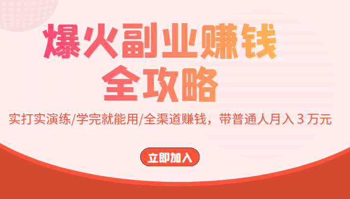 爆火副业赚钱全攻略：实打实演练/学完就能用/全渠道赚钱，带普通人月入３万元插图