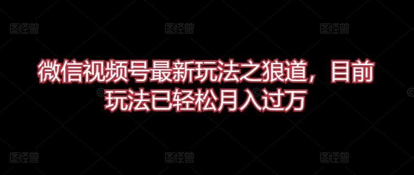 微信视频号最新玩法之狼道，目前玩法已轻松月入过万【揭秘】插图