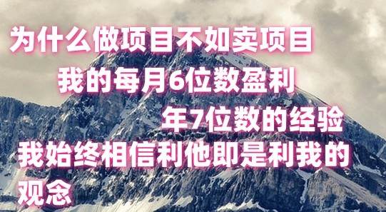 做项目不如卖项目，每月6位数盈利，年7位数经验插图