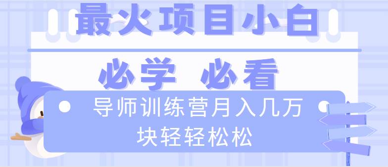 （8569期）导师训练营互联网最牛逼的项目没有之一，新手小白必学，月入2万+轻轻松松插图