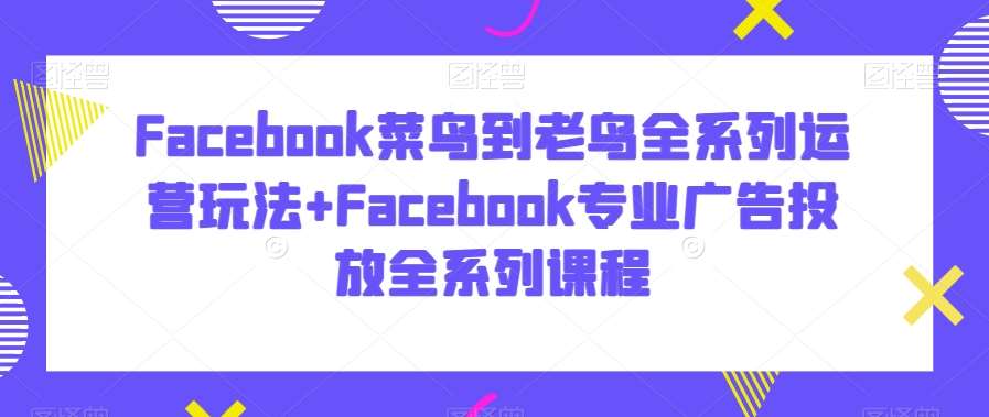 Facebook菜鸟到老鸟全系列运营玩法+Facebook专业广告投放全系列课程插图