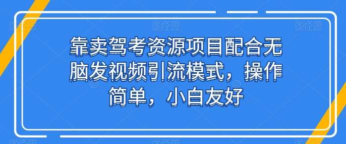 靠卖驾考资源项目配合无脑发视频引流模式，操作简单，小白友好【揭秘】插图