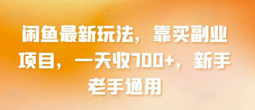 闲鱼最新玩法，靠买副业项目，一天收700+，新手老手通用【揭秘】插图