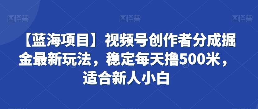 【蓝海项目】视频号创作者分成掘金最新玩法，稳定每天撸500米，适合新人小白【揭秘】插图