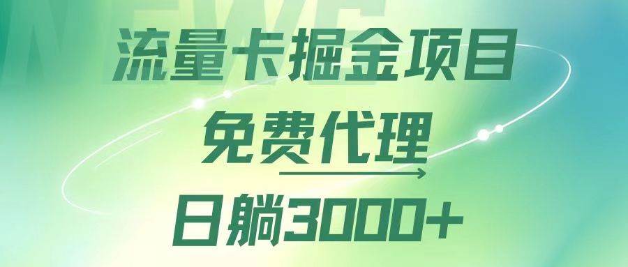 （12321期）流量卡掘金代理，日躺赚3000+，变现暴力，多种推广途径插图