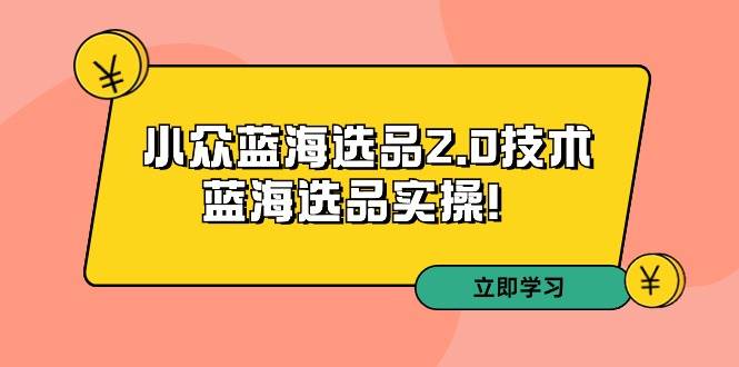 （9189期）拼多多培训第33期：小众蓝海选品2.0技术-蓝海选品实操！插图