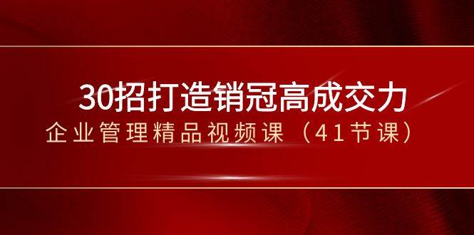 （8477期）30招-打造销冠高成交力-企业管理精品视频课（41节课）插图