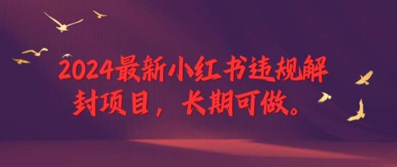 2024最新小红书违规解封项目，长期可做，一个可以做到退休的项目【揭秘】插图