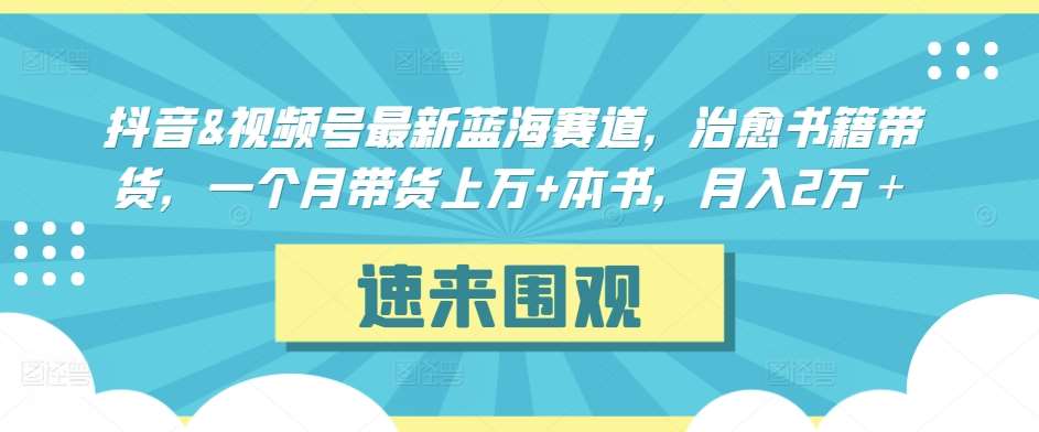 抖音&视频号最新蓝海赛道，治愈书籍带货，一个月带货上万+本书，月入2万＋【揭秘】插图