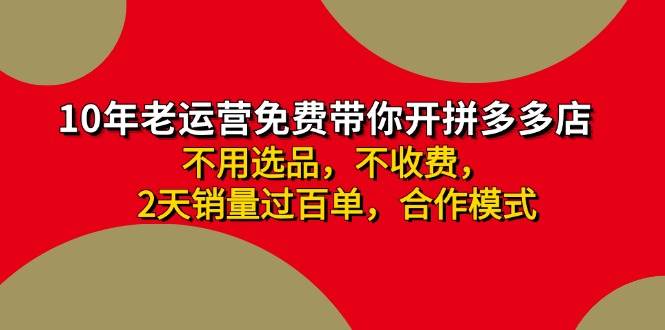 （11576期）拼多多-合作开店日入4000+两天销量过百单，无学费、老运营教操作、小白…插图