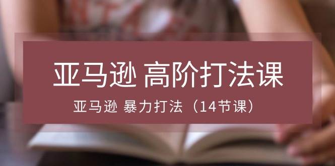 （10870期）亚马逊 高阶打法课，亚马逊 暴力打法（14节课）插图