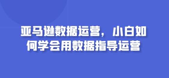 亚马逊数据运营，小白如何学会用数据指导运营插图