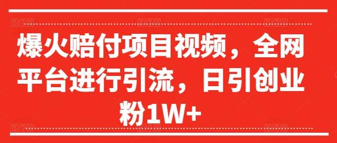 爆火赔付项目视频，全网平台进行引流，日引创业粉1W+【揭秘】插图