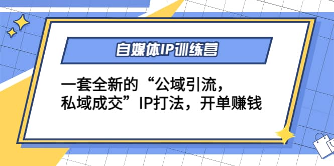 自媒体IP训练营(12+13期)一套全新的“公域引流，私域成交”IP打法插图